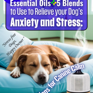 Dog Anxiety Essential Oils: Natural Relief Guide for Calmer Dogs