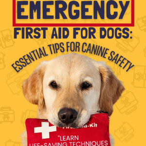 Dog's Emergency First Aid