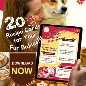 20 plus Dog treats recipe-cards Promotional Image