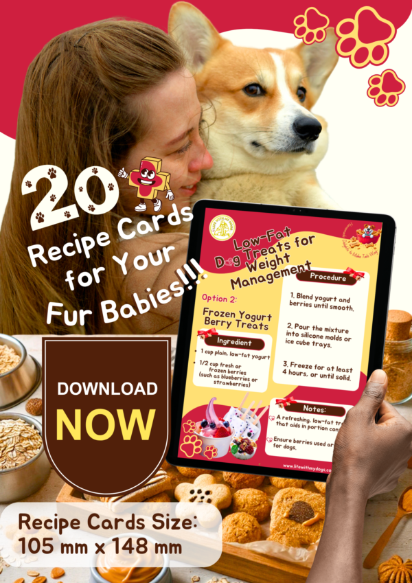 20 plus Dog treats recipe-cards Promotional Image