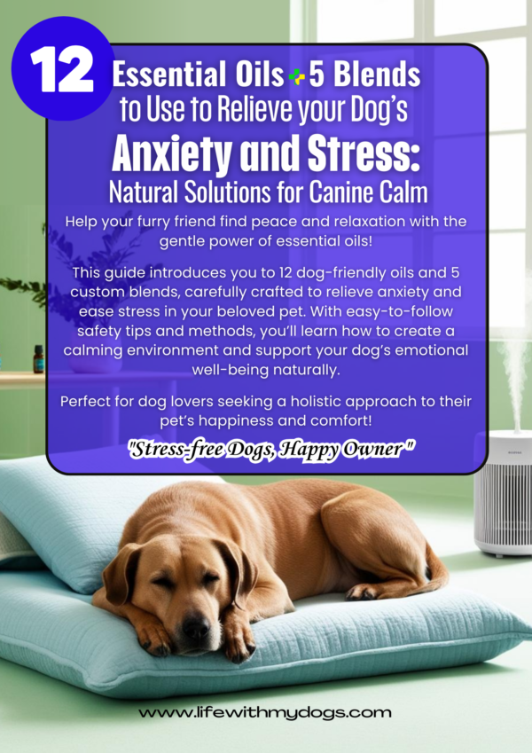 Dog Anxiety Essential Oils: Natural Relief Guide for Calmer Dogs