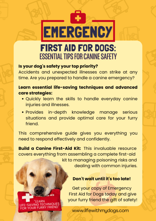 Dog's Emergency First Aid